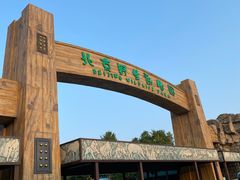 -北京野生动物园