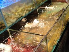 -苏格里岛自助烤肉海鲜火锅(成都金牛万达店)