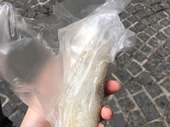 -殷姐糯米包油条