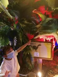 -恐龙探索乐园(磁器口店)