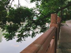 -成都市活水公园