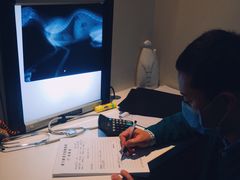 -御宝贝24h宠物医院·转诊中心·CT核磁血透中心(厦门总院)