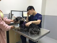 -谐和益家动物医院·免疫绝育·血液透析·宠保定点医院(高新伊藤分院)
