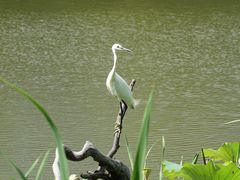 -新江湾城公园