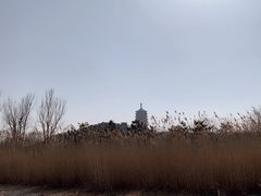 -永定河休闲森林公园