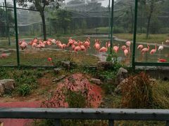 -石家庄市动物园