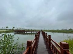 -嘉北郊野公园