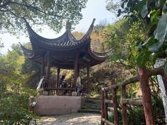 -宁波市保国寺古建筑博物馆