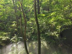 -牛背梁国家森林公园