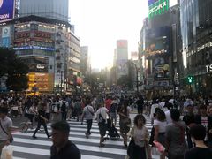 -涩谷区