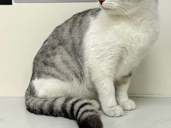 -贝康宠物医院·犬猫全科·小动物特色诊疗中心(东环路店)