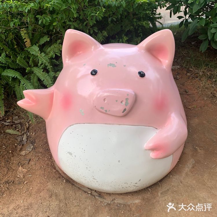 广州·白云|广州市儿童公园🥳免费🥳