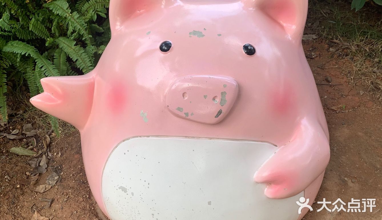 广州·白云｜广州市儿童公园🥳免费🥳