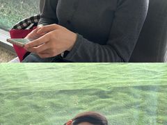 -金陵图书馆