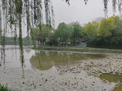 -白洋淀景区