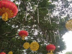 -南国桃园旅游度假区