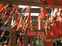 -南宁良凤江国家森林公园