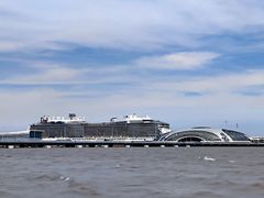 -上海吴淞炮台湾国家湿地公园