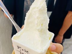 -野人先生现做冰淇淋(西安赛格店)