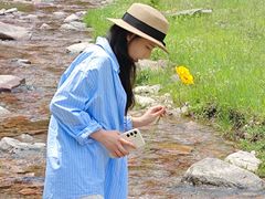 -芦芽山旅游度假区
