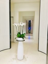 -奥斯芬欧系贵族SPA