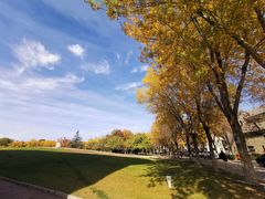 -北京国家会计学院