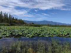 -野鸭湖国家湿地公园