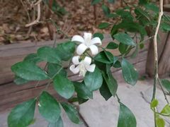 -龙达温泉生态城