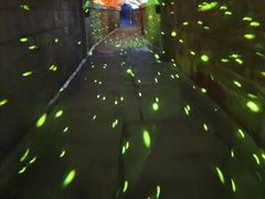-瑶琳仙境