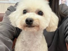 -安安宠医宠物医院·异宠·犬猫内科(岳阳分院)