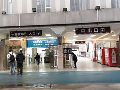 -武汉关码头(轮渡站)