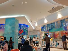 -帝企鹅自助餐厅•儿童岛•真企鹅(长隆企鹅酒店)