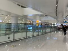 -麦当劳(北京大兴机场二层国内到达(安检外)店)