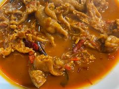 -红辣椒八爪鱼特色韩国料理