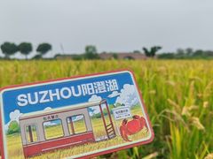 -七的湖·江南蟹舫·阳澄湖农家菜(蟹舫苑店)