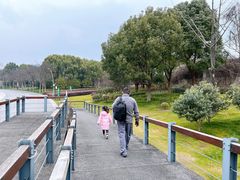 -尚贤河湿地