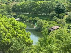 -羡餐厅·杭帮菜·淳菜(千岛湖自由洲际殿店)