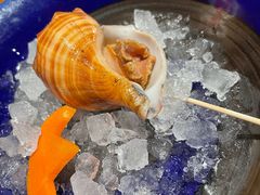 酒煮海螺-松涛日本料理