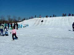 -武清南湖绿博园