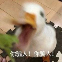 点击看大图 -尤尼可国际影像(万源分店)
