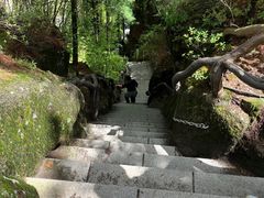 -汤旺河林海奇石景区