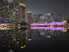 -西北湖绿化广场