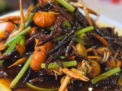 -红盔甲·小龙虾(天钥桥店)