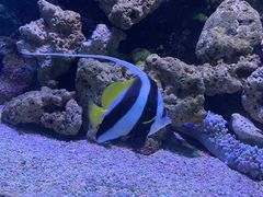-大连老虎滩海洋公园
