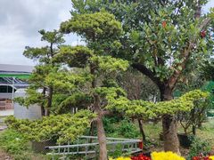 -大笑饭堂(甲子桥店)