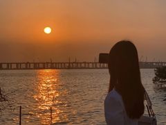 -宝安西湾红树林湿地公园