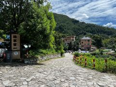 -杨家堂村