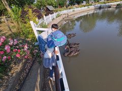 -鹅湖玫瑰文化园