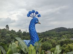 -东莞植物园