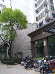 点击看大图 -瑜舍连锁瑜伽